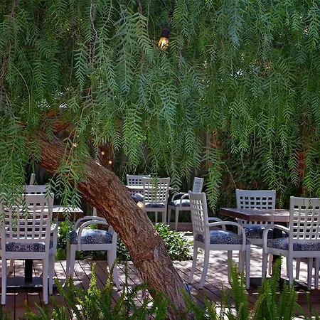 Alesia - Boutique Hotel&Spa-3